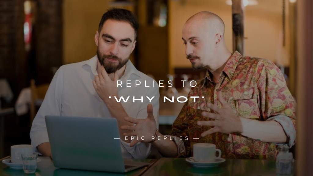 250+ Best Funny Replies to “Why Not”